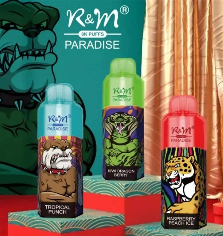 R&M PARADISE 8000 Puffs Vape factory